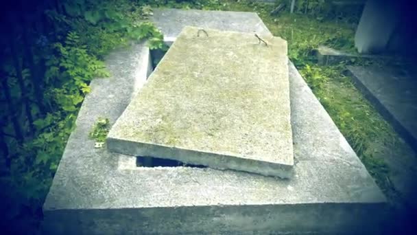 Open new empty grave , cemetery. green moss on stone cover. — Stock Footage Open New Empty Grave Cemetery Green Moss Stone Cover Royalty Free Stock Video