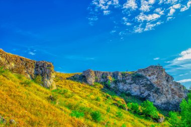 Moldova Cumhuriyeti, Varatic dağlarındaki güzel yaz manzarası. Yeşil manzara. İnanılmaz Doğa. Yeşil Çimenli ve Ağaçlı Park. Moldova 'daki kırsal manzara.