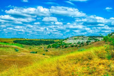 Yeşil tepeler, orman ufku olan çayırlar bulutlu mavi gökyüzüne karşı. Moldova 'nın Doğası