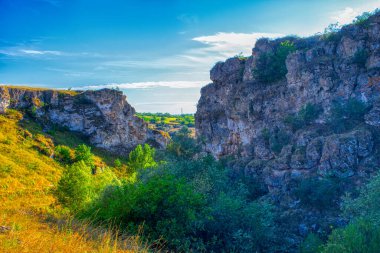 Moldova Cumhuriyeti, Varatic dağlarındaki güzel yaz manzarası. Yeşil manzara. İnanılmaz Doğa. Yeşil Çimenli ve Ağaçlı Park. Moldova 'daki kırsal manzara.