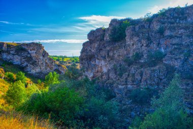 Moldova Cumhuriyeti, Varatic dağlarındaki güzel yaz manzarası. Yeşil manzara. İnanılmaz Doğa. Yeşil Çimenli ve Ağaçlı Park. Moldova 'daki kırsal manzara.
