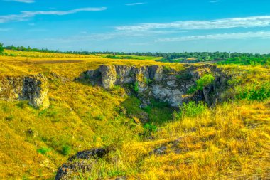 Moldova Cumhuriyeti, Varatic dağlarındaki güzel yaz manzarası. Yeşil manzara. İnanılmaz Doğa. Yeşil Çimenli ve Ağaçlı Park. Moldova 'daki kırsal manzara.