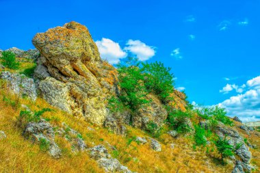 Yeşil tepeler, orman ufku olan çayırlar bulutlu mavi gökyüzüne karşı. Moldova 'nın Doğası