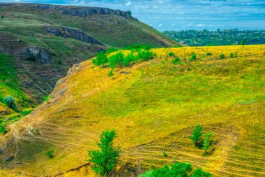 Yeşil tepeler, orman ufku olan çayırlar bulutlu mavi gökyüzüne karşı. Moldova 'nın Doğası