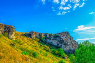 Moldova Cumhuriyeti, Varatic dağlarındaki güzel yaz manzarası. Yeşil manzara. İnanılmaz Doğa. Yeşil Çimenli ve Ağaçlı Park. Moldova 'daki kırsal manzara.