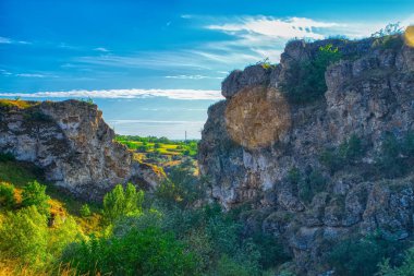 Moldova Cumhuriyeti, Varatic dağlarındaki güzel yaz manzarası. Yeşil manzara. İnanılmaz Doğa. Yeşil Çimenli ve Ağaçlı Park. Moldova 'daki kırsal manzara.