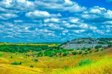 Yeşil tepeler, orman ufku olan çayırlar bulutlu mavi gökyüzüne karşı. Moldova 'nın Doğası