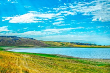 Moldova 'daki Prut nehrinin yeşil sularının güzel manzarası