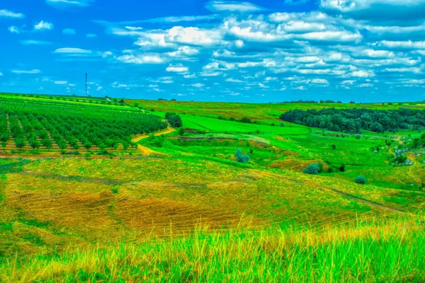 Collines Vertes Prairies Avec Horizon Forestier Contre Ciel Bleu Nuageux — Photo