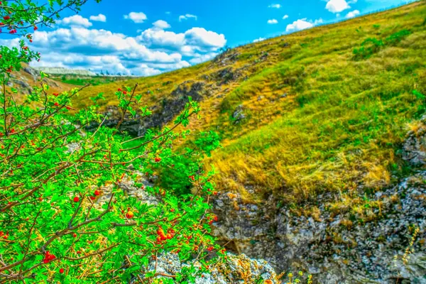 Зелені Пагорби Луки Лісовим Горизонтом Проти Хмарного Блакитного Неба Природа — стокове фото