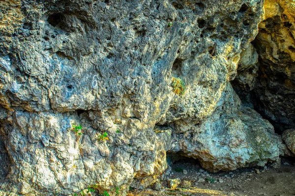 Monument Patrimoine Naturel Historique Âge Pierre Duruitoarea Veche Est Situé — Photo