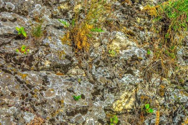 近景明亮 破旧的悬崖裂缝 纹理山峦 地质学的概念 自然界的美的力量 自然夏季构图地标背景设计 — 图库照片