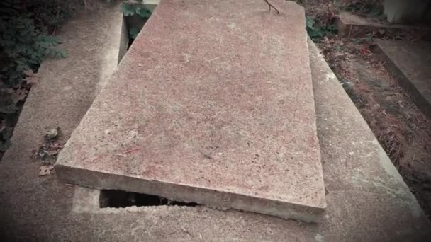Open New Empty Grave Cemetery Green Moss Stone Cover — Stock Video