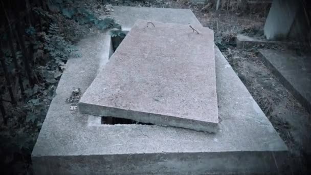 Open New Empty Grave Cemetery Green Moss Stone Cover — Stock Video