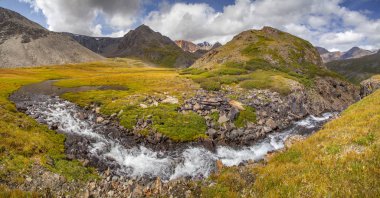 Altai dağlarında vahşi bir yer.