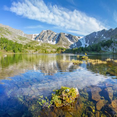 Dağ manzarası, resimli dağ gölü yaz sabahı, Altai, Rusya
