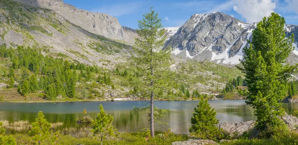 Paisagem Montanhosa Pitoresco Lago Montanha Manhã Verão Altai Árvores Costa — Fotografia de Stock