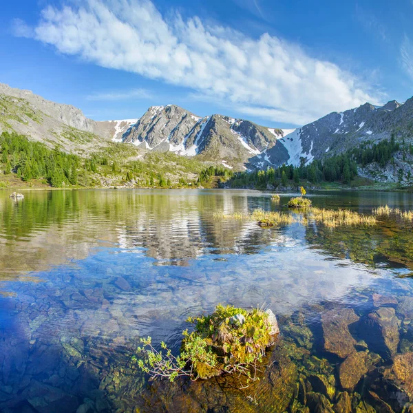 Berglandschaft Malerischer Bergsee Sommermorgen Altai Russland — Stockfoto