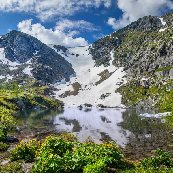 Malebné Horské Jezero Jaro Horách Sníh Květiny — Stock fotografie