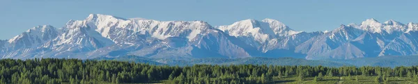 Wide Panorama Ridge Forest Snow Capped Peaks Sunny Summer Morning — Stock Photo, Image