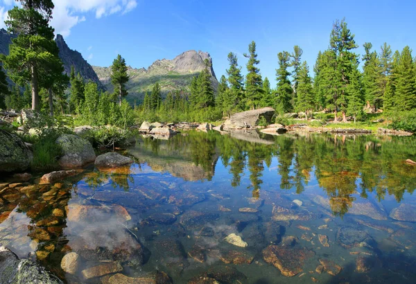 Wild Bos Meer Sayan Mountains Natuurpark Ergaki Zonnige Zomerdag Siberische — Stockfoto