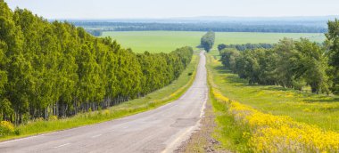 The road along the forest, spring meadows and fields, the countryside.	