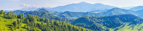 Panoramautsikt Över Bergen Ljus Sol Vårgröna Skogar Och Ängar — Stockfoto