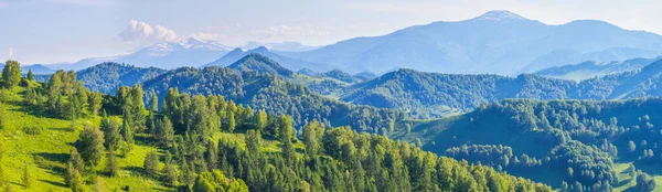 Panoramautsikt Över Bergen Ljus Sol Vårgröna Skogar Och Ängar — Stockfoto