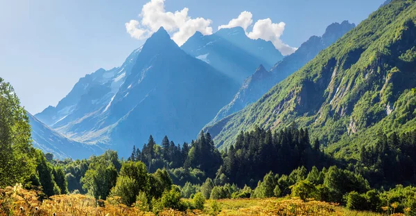 Morning Mountains Scenic Valley Caucasus Mountains Dombay Summer Greens Snow — Stok fotoğraf