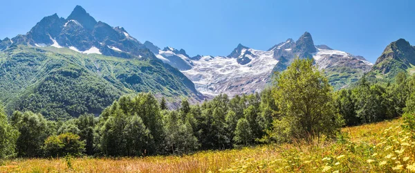 Panorama Caucasus Mountains Dombay Glacier Sharp Peaks Forest — 图库照片