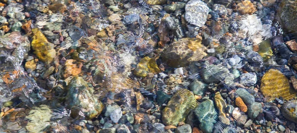 Beautiful stones on the bottom of a clean river, panoramic image, natural background