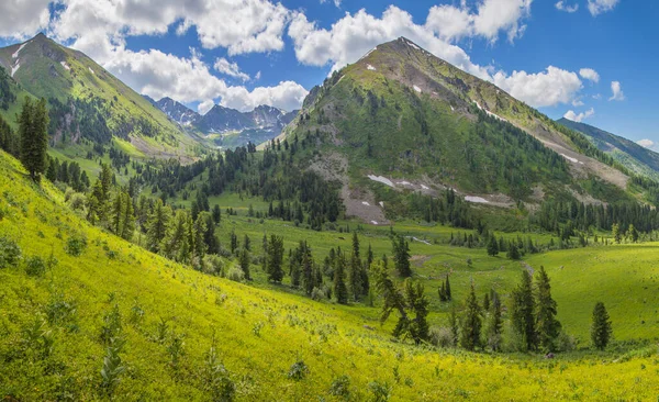 Bir yaz sabahı Dağ Vadisi. Ormanların ve çayırların yeşilliği. Seyahat ve tatil dağlarda.
