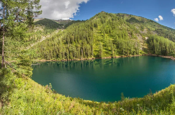 Pintoresco Lago Forestal Paisaje Montaña Verano Viajes Ocio — Foto de Stock