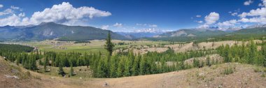 Altay Dağları 'ndaki resim vadisi. Çayırların ve ormanların yaz yeşillikleri, tepelerde kar. Geniş panorama.