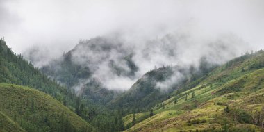 Bulutlardaki dağ zirveleri. Kasvetli gün, doğal ışık.