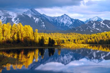 Altai dağlarında vahşi dağ gölü, gün batımı, yansıma. Sibirya 'da vahşi bir yer.