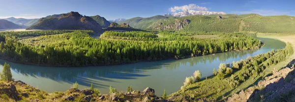 Gebirgstal Mit Dem Fluss Chuya Altai Russland Frühlingsgrün Und Schnee — Stockfoto