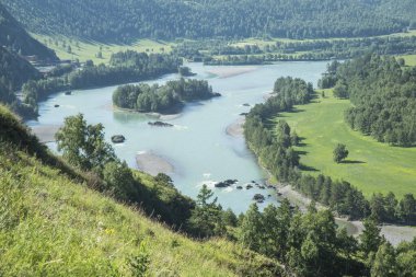 Resimli dağ vadisi, Katun nehri, Altai, Sibirya. Yaz yeşilliği, güneşli hava.