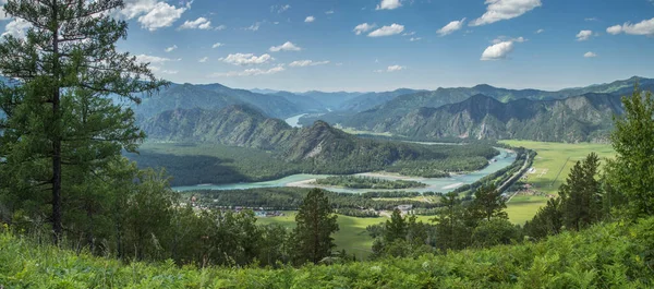 Malerisches Gebirgstal Fluss Katun Altai Sibirien Sommerliches Grün Sonniges Wetter — Stockfoto
