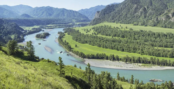 Malerisches Gebirgstal Fluss Katun Altai Sibirien Sommerliches Grün Sonniges Wetter — Stockfoto