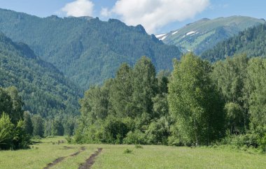 Dağ manzarası. Tepelerde kar, ilkbahar yeşillikleri orman ve çayırlarda. Seyahat ve tatil dağlarda.