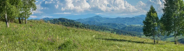 Widok Panoramiczny Krajobraz Górski Zieleń Łąki Letniej Lasy — Zdjęcie stockowe