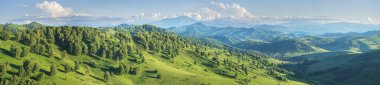 Panoramik dağ manzarası. Parlak güneş ışığı, yaz yeşillikleri ormanlar ve çayırlar..