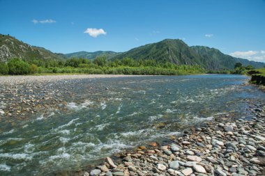 Dağ nehri manzarası. Yaz yeşillikleri, gün ışığı.