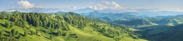 Panoramik Dağ Manzarası Parlak Güneş Işığı Yaz Yeşillikleri Ormanlar Çayırlar — Stok fotoğraf