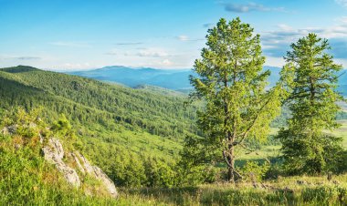 Dağ manzarası. Ormanların ve çayırların yaz yeşillikleri.