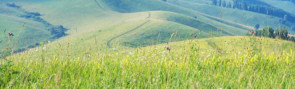 Vidéki Táj Panorámás Kilátás Hills Vidéki Szelektív Fókusz — Stock Fotó