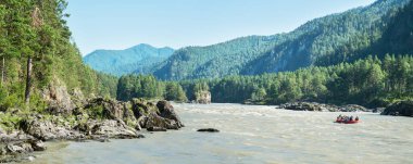Altai Dağları 'ndaki Katun Nehri, Sibirya. Orman ve kayalar kıyılarda. Yaz gezisi. Panoramik görünüm.
