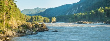 Altai Dağları 'ndaki Katun Nehri, Sibirya. Orman ve kayalar kıyılarda. Yaz gezisi. Panoramik görünüm.