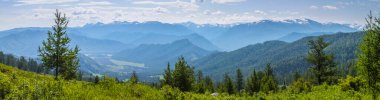 View of the mountain valley from the pass. Summer greens, trees, morning haze.	